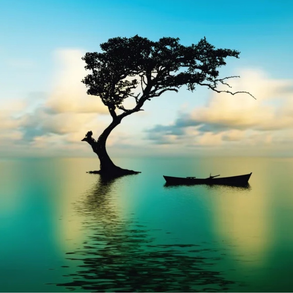 Meet your Posher, Sadaf